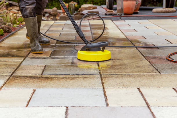 Best Sidewalk and Walkway Cleaning  in North Utica, IL