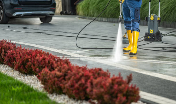 Best House Exterior Washing  in North Utica, IL